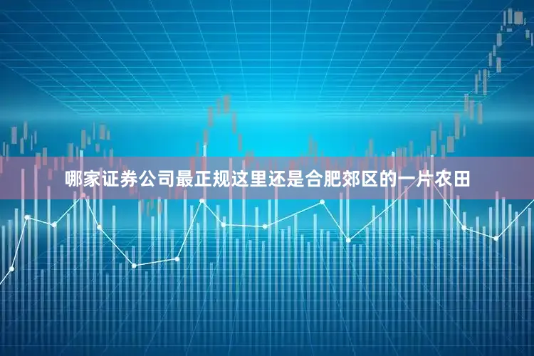 哪家证券公司最正规这里还是合肥郊区的一片农田